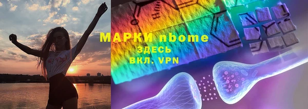 метадон Алексин