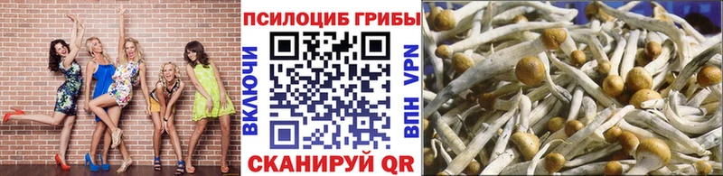 дарнет шоп  Ардон  kraken как войти  мориарти формула  Галлюциногенные грибы GOLDEN TEACHER 